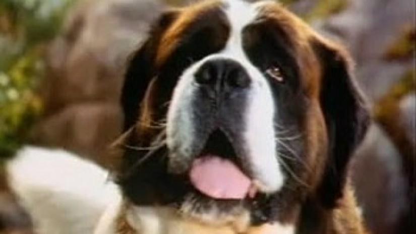 Beethoven Bostgarrena filma ikusgai izango dugu.
