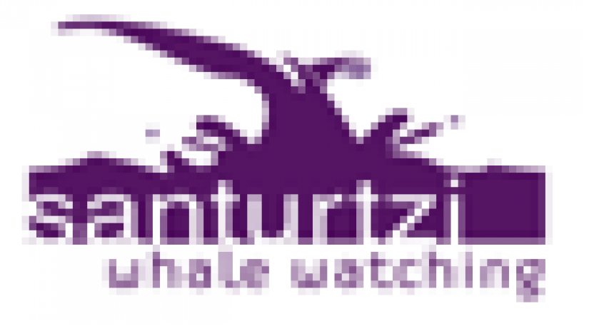  “Santurtziko Baleak/ Ballenas de Santurtzi” ha alcanzado los 400 participantes y ampliado las salidas para cubrir la demanda