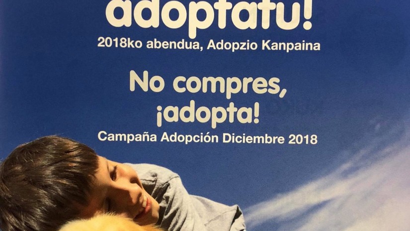 Una nueva campaña de adopción de mascotas conciencia sobre la importancia de dar una segunda vida a cuantas han sido abandonadas